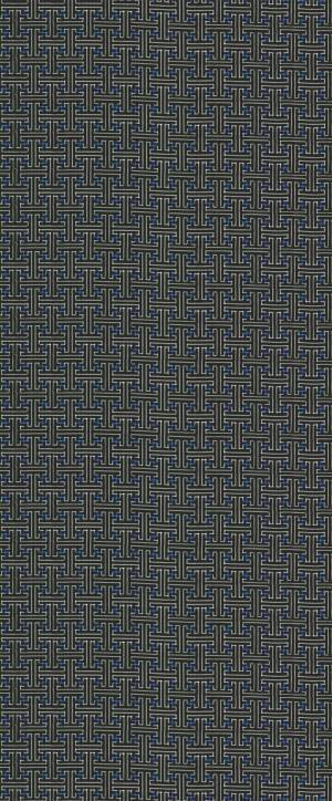 嵐電に奄美大島・龍郷町(たつごうちょう)ＰＲ電車が登場