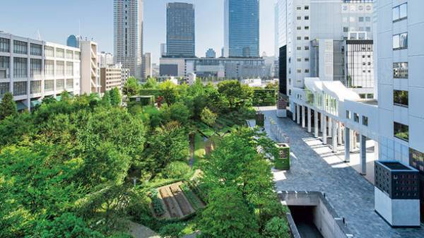 東京大学と積水ハウス、生物多様性と健康に関する共同研究を開始