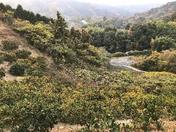 新しい農業の兼業スタイルを実現するワーケーションツアーが12月2日よりスタート　～優樹の里×シクロツーリズム×JALのコラボで実現～