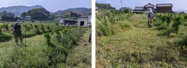 新しい農業の兼業スタイルを実現するワーケーションツアーが12月2日よりスタート　～優樹の里×シクロツーリズム×JALのコラボで実現～