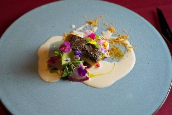 京丹後市の食のふるさとづくり「＆TANGOプロジェクト」人気の名店・シェフとのコラボレーションにより、京丹後市産の厳選食材を使用したオリジナルコース料理が完成！東京・京都・大阪の10店で「京丹後」の味がご堪能いただけます！