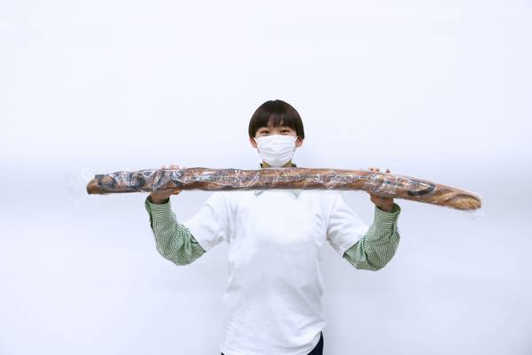 開園１１０周年を記念した、驚きの特典付き企画チケット「“ひらパーン”付入園券」サンキュー価格（3,939円）で発売！