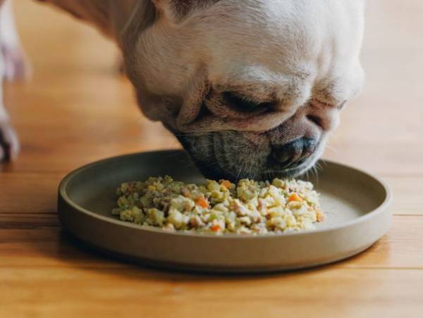 Buddy FOOD(バディフード)取り扱い動物病院が300病院を達成！