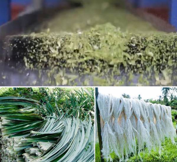 サステナブル素材パイナップルレザーを用いた「ミニマ・ポシェット」　Makuakeにて期間限定独占販売を12月1日正午スタート！