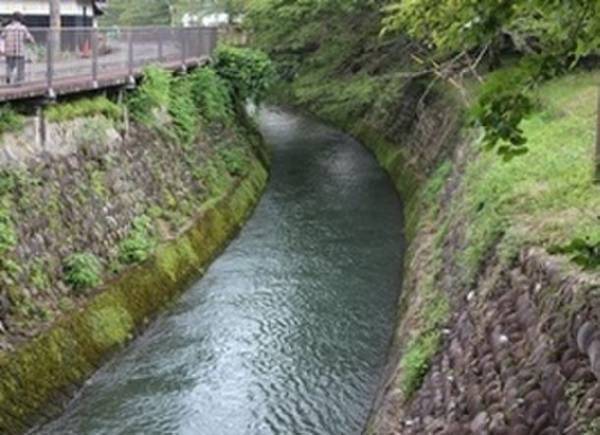 「郡上踊」「寒水の掛踊」がユネスコ無形文化遺産に登録　～岐阜県・郡上市で伝統的に踊り継がれてきた2つの踊り～