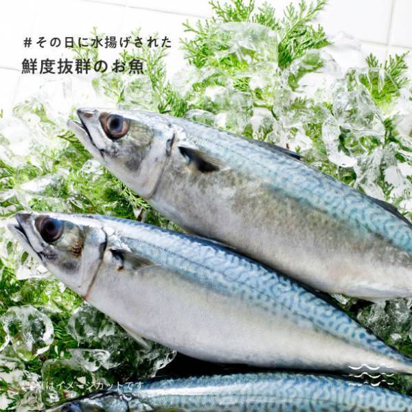 北九州市若松区の物産館「SIOIRI」が18年ぶりにリニューアル