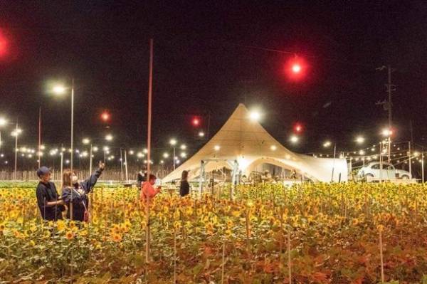 冬の沖縄の風物詩「よみたん 夜あかり」2022年12月1日～2023年3月26日まで開催