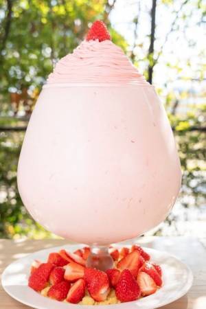 総重量5kg越えの巨大いちごパフェ！？たまご専門店 TAMAGOYAにて「STRAWBERRY FAIR」を開催　静岡県産のいちごを満喫する期間限定スイーツが登場