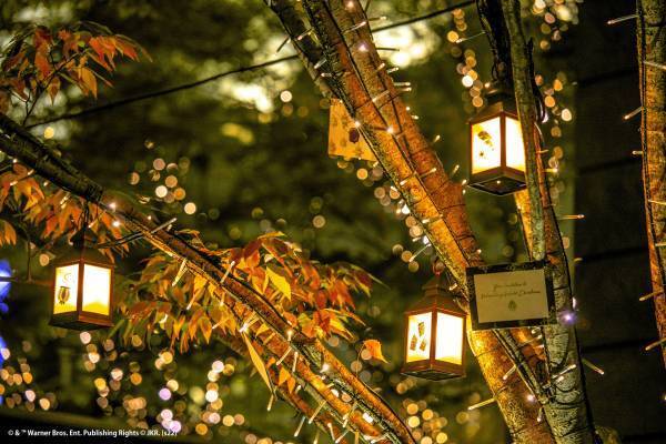 Grand Wish Christmas 2022 「BEST WISHES EVENT」開催！