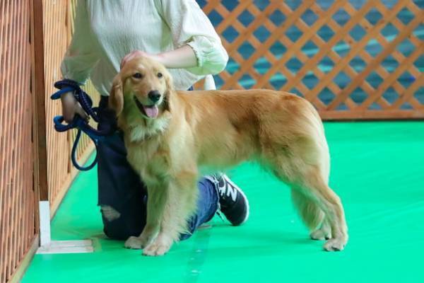 日本最大級のペットイベント「みんな大好き!!ペット王国2023」　今年も京セラドーム大阪で開催決定、出展受付も開始