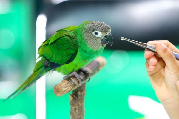 日本最大級のペットイベント「みんな大好き!!ペット王国2023」　今年も京セラドーム大阪で開催決定、出展受付も開始