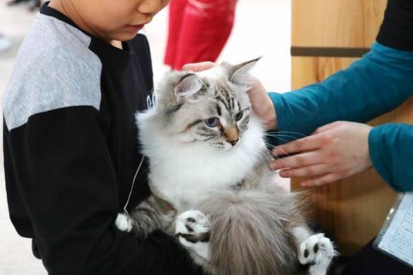 日本最大級のペットイベント「みんな大好き!!ペット王国2023」　今年も京セラドーム大阪で開催決定、出展受付も開始