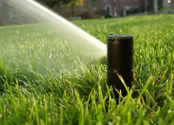 公益財団法人日本サッカー協会(JFA)のJFAグリーンプロジェクト『ポット苗方式芝生化モデル事業』応募締め切り迫る＜2022年12月22日(木)まで＞