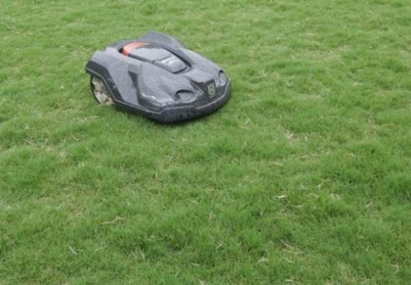 公益財団法人日本サッカー協会(JFA)のJFAグリーンプロジェクト『ポット苗方式芝生化モデル事業』応募締め切り迫る＜2022年12月22日(木)まで＞