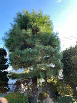 植物のお医者さんのクラウドファンディングを開始　2022年11月23日～2023年1月31日まで支援受付中