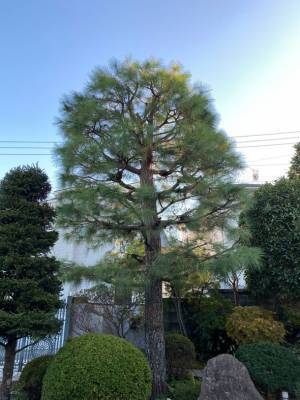 植物のお医者さんのクラウドファンディングを開始　2022年11月23日～2023年1月31日まで支援受付中