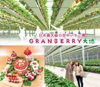 日本最大級の“空中いちご園”「グランベリー大地」茨城・常総市に12／17グランドオープン