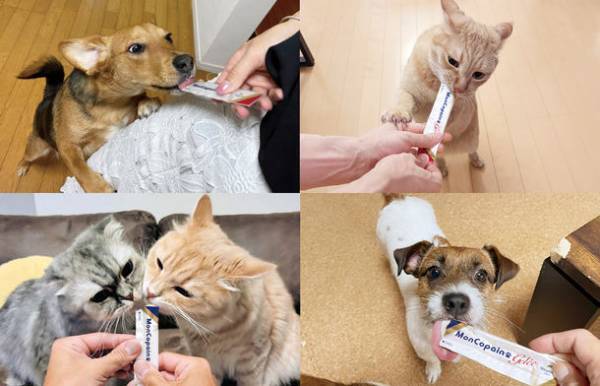 モニター完食続出！ペーストタイプのペット(犬・猫)用サプリメント「モン コパン ジュレ」新発売！