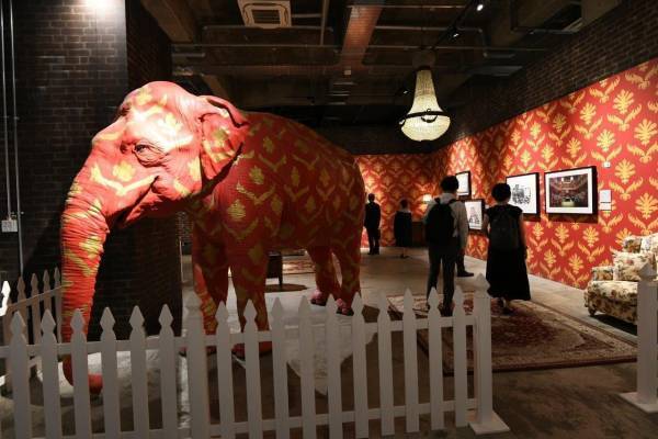 「バンクシーって誰？展」福岡展、12/17〜いよいよ開幕！福岡展公式サポーターに女優・筧美和子さんが就任