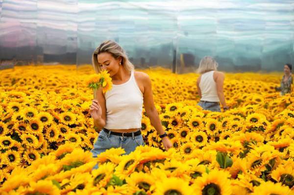 開催迫る！「ゴッホ・アライブ」金山南ビル美術館棟(旧名古屋ボストン美術館)にて12月10日(土)から開催