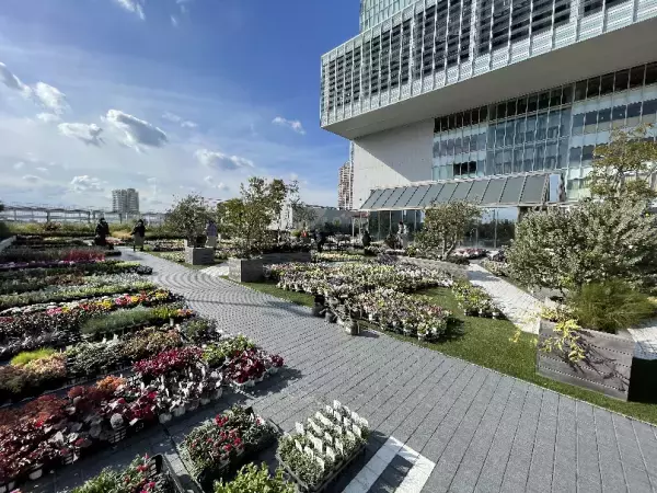 【あべのハルカス近鉄本店】クリスマスの取り組みについて