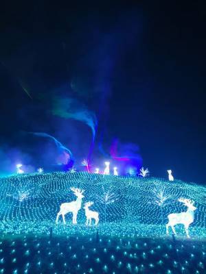 大阪・堺　ハーベストの丘で約100万球のイルミネーションが輝く「Wonder Night Hill 2022」2023年2月下旬まで開催！