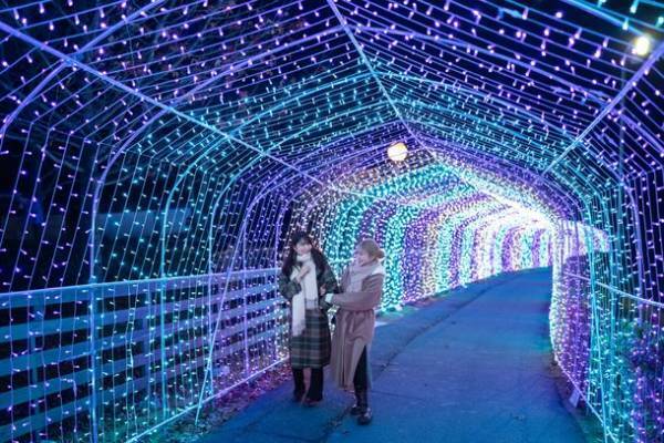 大阪・堺　ハーベストの丘で約100万球のイルミネーションが輝く「Wonder Night Hill 2022」2023年2月下旬まで開催！