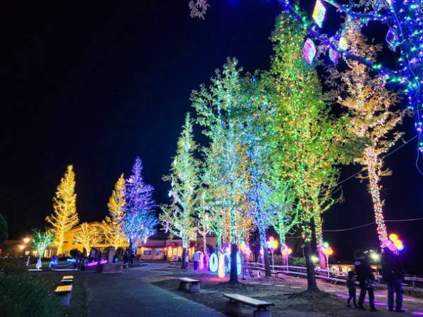 大阪・堺　ハーベストの丘で約100万球のイルミネーションが輝く「Wonder Night Hill 2022」2023年2月下旬まで開催！