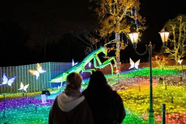 大阪・堺　ハーベストの丘で約100万球のイルミネーションが輝く「Wonder Night Hill 2022」2023年2月下旬まで開催！