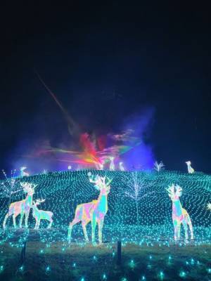 大阪・堺　ハーベストの丘で約100万球のイルミネーションが輝く「Wonder Night Hill 2022」2023年2月下旬まで開催！