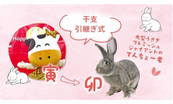成田ゆめ牧場がうさぎに乗っ取られた！？新イベント『うさジャック』開催中