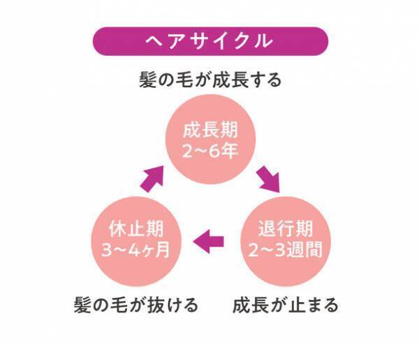 美容に特化した薬剤師チームが開発　「白髪」や「抜け毛」の原因に着目。“頭皮リニューアル”にアプローチ　毛髪科学に基づいたプロ仕様のブランド「Return Luxe(リターン リュクス)(R)」が誕生　アクティブブラックケアシステム採用(シャンプー、コンディショナー、スカルプセラム)を発売