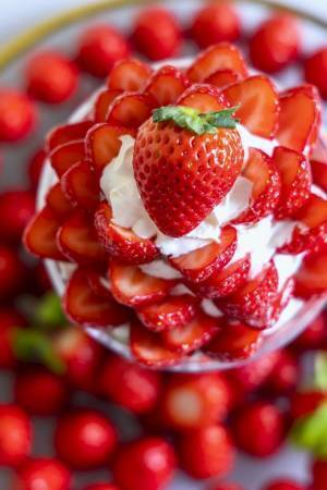 旬のいちご約100粒を使用！いちご狩り気分を楽しめる超特大パフェを熱海の“ビル一棟まるごと”いちごスイーツ専門店で12月15日よりスタート！