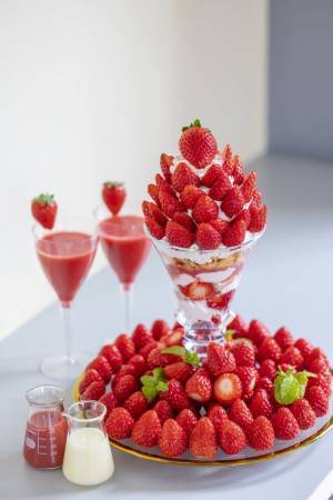 旬のいちご約100粒を使用！いちご狩り気分を楽しめる超特大パフェを熱海の“ビル一棟まるごと”いちごスイーツ専門店で12月15日よりスタート！