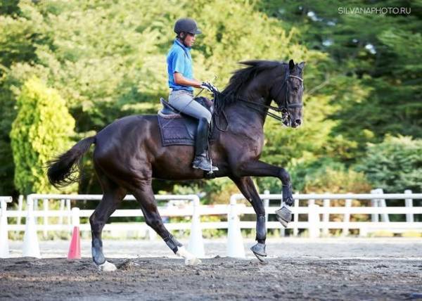 チーバくんが千葉でデュアルライフを楽しむ黒谷友香さんを訪問！―黒谷友香さんが語る 千葉／東京・二拠点居住のすすめ―