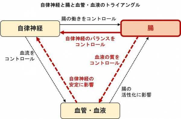 冬便秘は、自律神経の乱れのサイン　自律神経の乱れには大腸からケアを　自律神経・便秘対策の第一人者 小林 弘幸先生・小林 暁子先生監修の新着コラムをHPにて公開