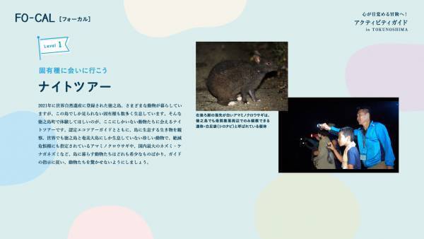 藤原紀香さんが夫・愛之助さんのルーツの島に夢中「旅色FO-CAL」徳之島町特集公開