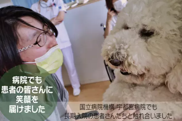 栃木アニマルセラピー協会、セラピー犬を迎えるためのクラウドファンディングをGoodMorningで12月8日から開始