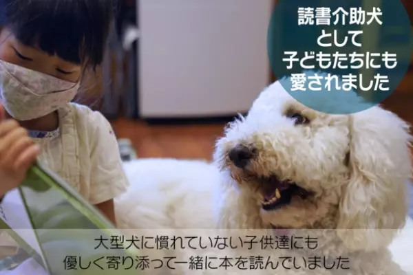 栃木アニマルセラピー協会、セラピー犬を迎えるためのクラウドファンディングをGoodMorningで12月8日から開始