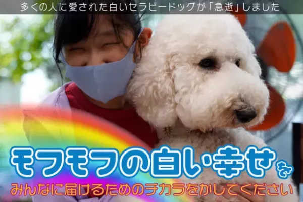 栃木アニマルセラピー協会、セラピー犬を迎えるためのクラウドファンディングをGoodMorningで12月8日から開始