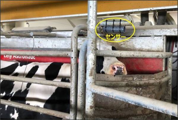 牛からのメタン排出量推定に活用できる『メタンと二酸化炭素の同時測定が可能な簡易システム』を開発