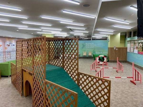 新しい年のはじまり、わんこも贅沢に！犬好きにお届けする『フユ イヌ マルシェ』を2023年1月13日(金)～1月15日(日)開催