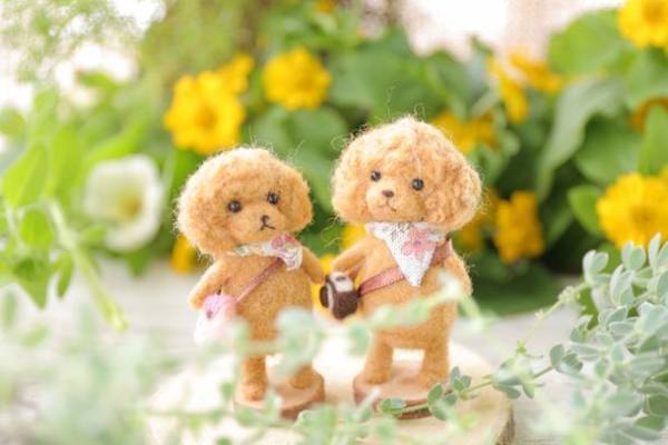 新しい年のはじまり、わんこも贅沢に！犬好きにお届けする『フユ イヌ マルシェ』を2023年1月13日(金)～1月15日(日)開催