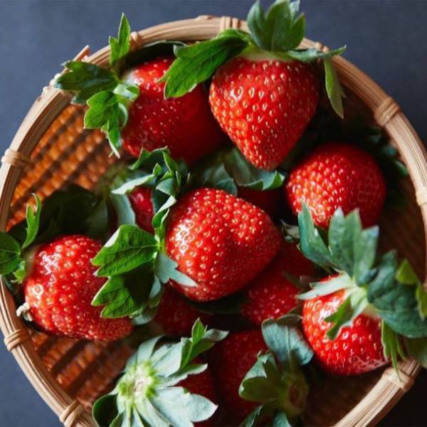 “いちごの村”奈良・明日香村に旬の季節が到来！いちご狩りやブランドいちご『あすかルビー』が抽選であたるキャンペーンを開催！