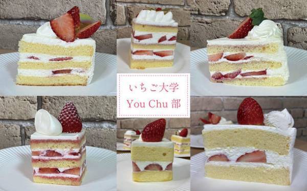 いちご大学アカデミアYouTubeチャンネル「いちご大学You Chu部」を開設