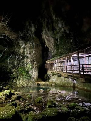 日本最大級の鍾乳洞「秋芳洞」カラーライトアップイベント開催！七色の光と音の饗宴を幻想的に演出！＜12/21～25、2/10～14＞