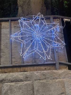 異国情緒あふれる“SDGs”イルミネーションイベントがJR大森駅山王口商店会にて2月14日まで開催