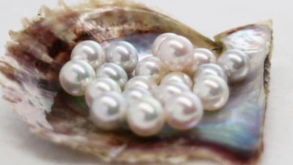 愛媛県宇和島発“あこや真珠ガチャ(R)”で期間限定「2万円相当の真珠ネックレス」をGET！「大当たりガチャキャンペーン」の期限迫る