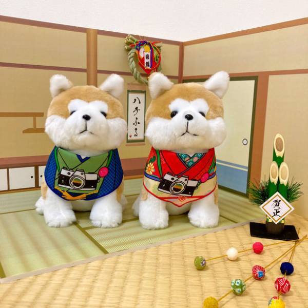 揃えて愛でたい大人気の「ハチふるぬいぐるみ」に着物バージョンが新登場！フォトスポットとして、ぬいぐるみサイズの“かまくら”や“和室”がぬい撮りファンに好評！