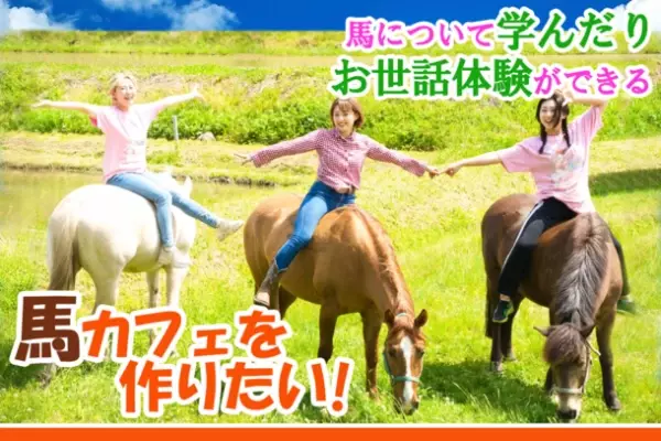 馬のお世話体験ができる「馬カフェ」　12月15日にクラウドファンディングを開始　～広島の安芸高田で馬について学び自然を体感～